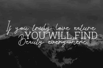 Acilla Tristan Handwriting Font