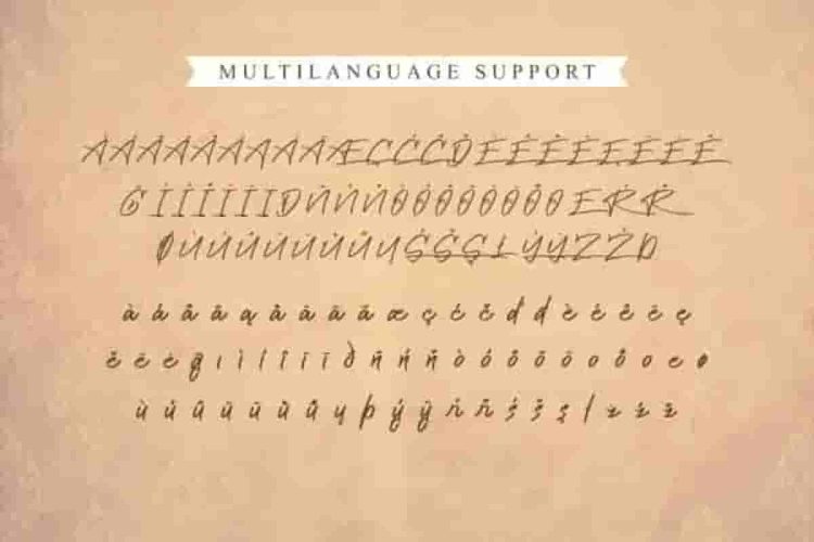 Cattily Calligraphy Script Font
