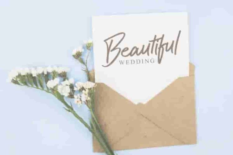 Cattily Calligraphy Script Font