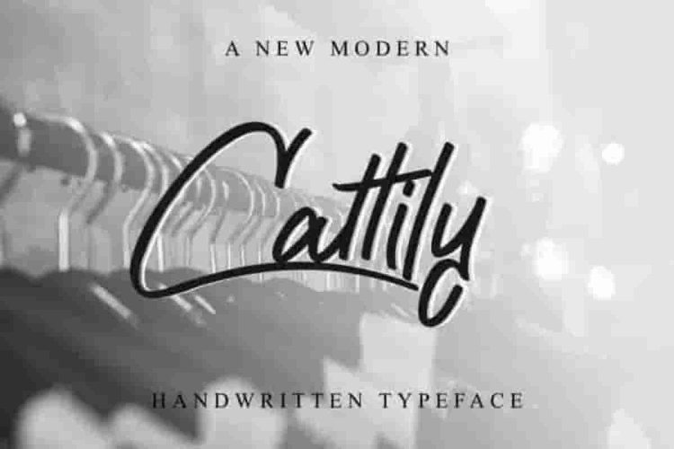 Cattily Calligraphy Script Font