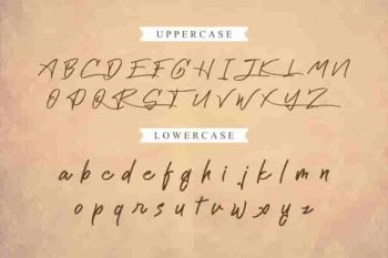 Cattily Calligraphy Script Font