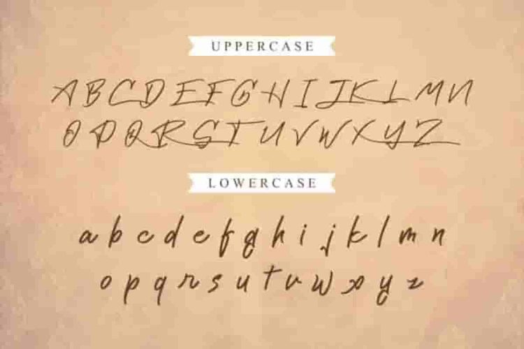 Cattily Calligraphy Script Font