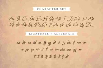 Cattily Calligraphy Script Font