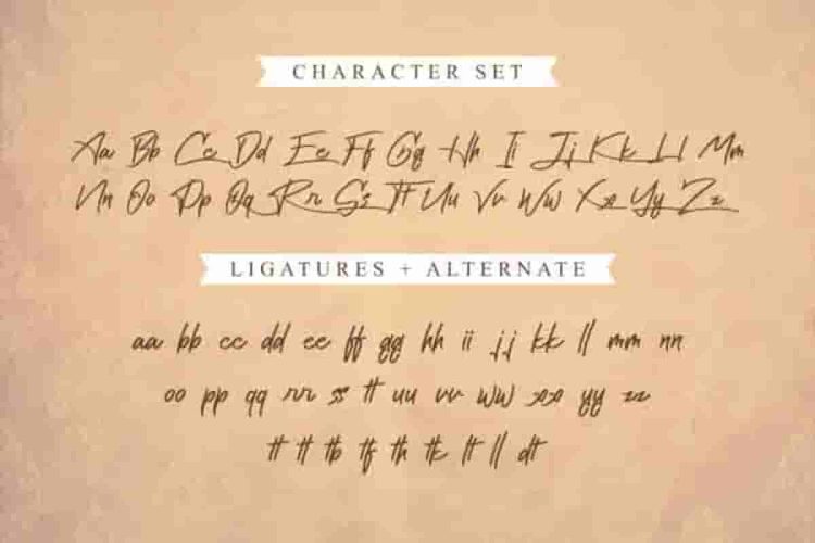 Cattily Calligraphy Script Font