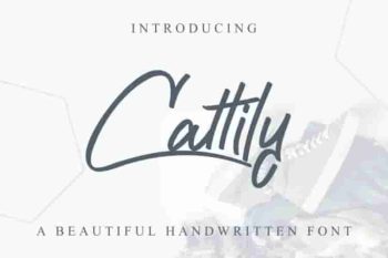 Cattily Calligraphy Script Font