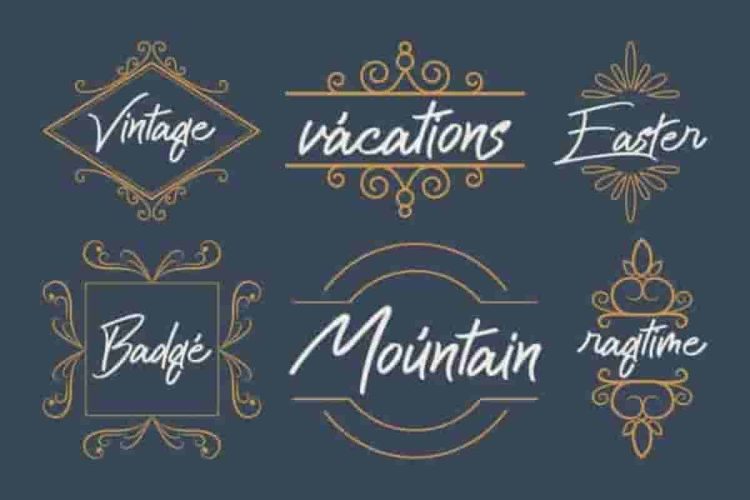 Cattily Calligraphy Script Font