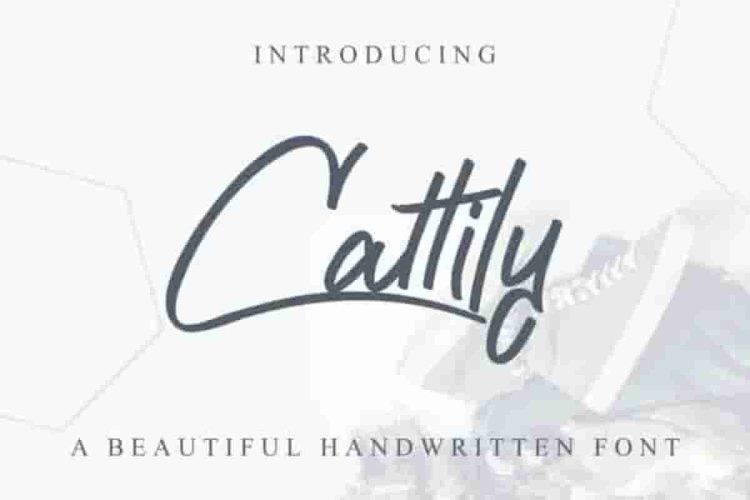 Cattily Calligraphy Script Font