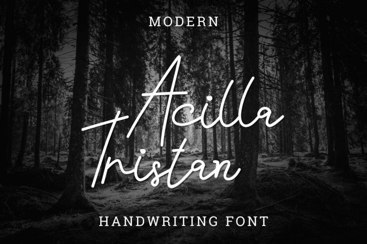 Acilla Tristan Handwriting Font - Image 11