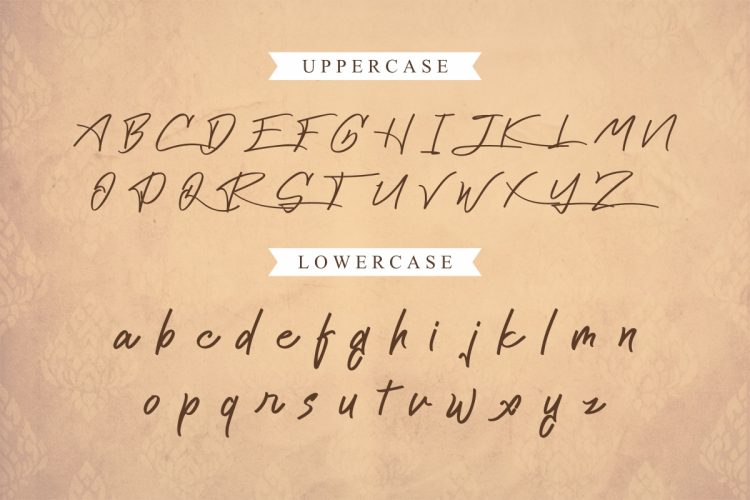 Cattily Calligraphy Font - Image 3