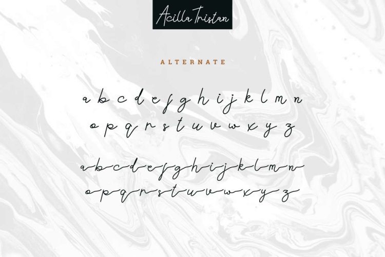 Acilla Tristan Handwriting Font - Image 3