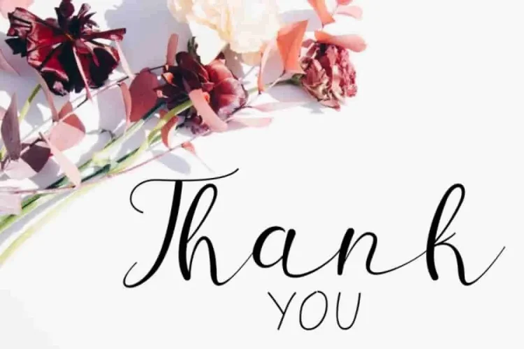 Sillmy Handwriting Caligraphy Font Duo