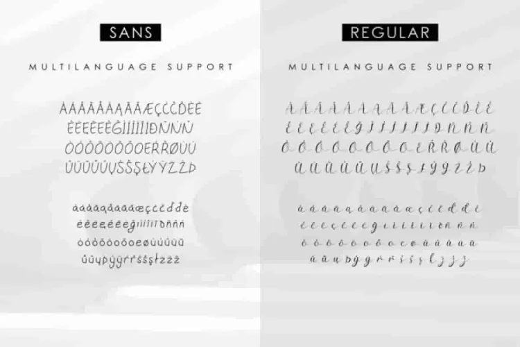 Sillmy Handwriting Caligraphy Font Duo