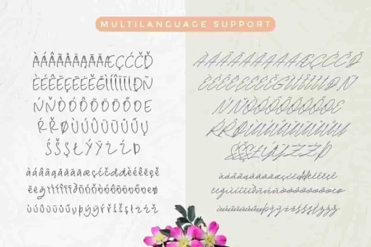 WhiteHoney Handlettered Font Duo
