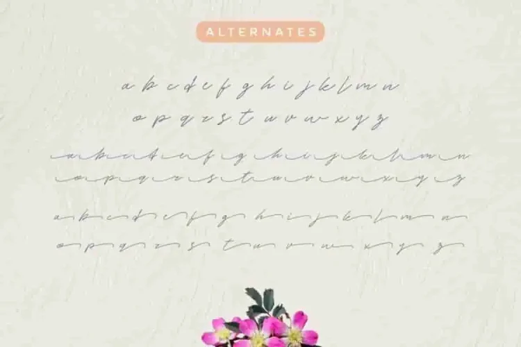 WhiteHoney Handlettered Font Duo
