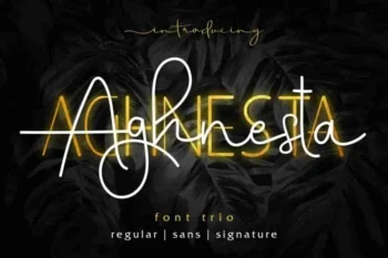 Aghnesta Font Trio Family