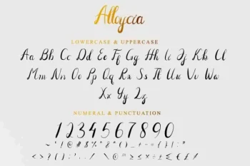 Alloycia Calligraphy Script Font