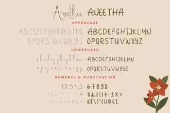 Aneetha Regular & Sans Font Duo