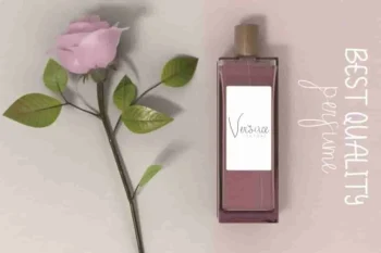 Aneetha Regular & Sans Font Duo