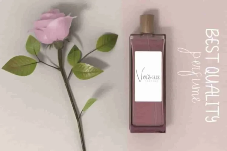 Aneetha Regular & Sans Font Duo