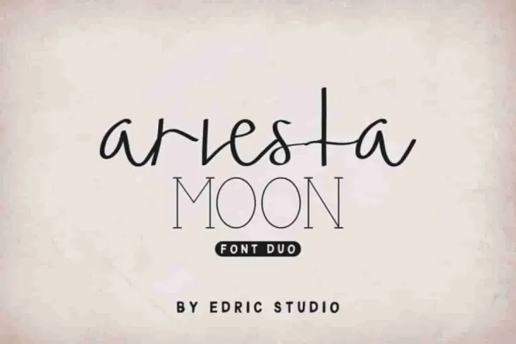 Ariesta Moon Family Font Duo
