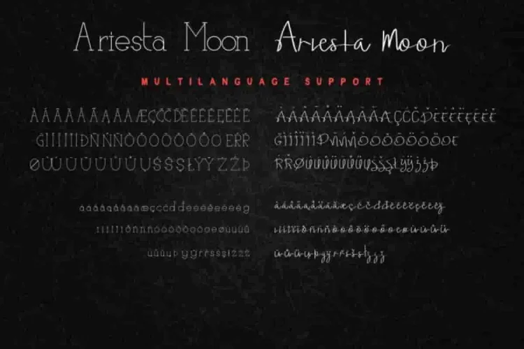 Ariesta Moon Family Font Duo