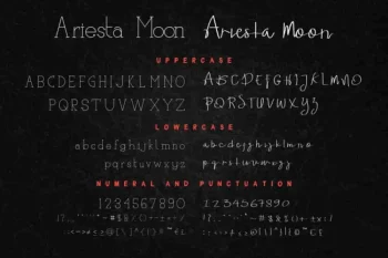 Ariesta Moon Family Font Duo