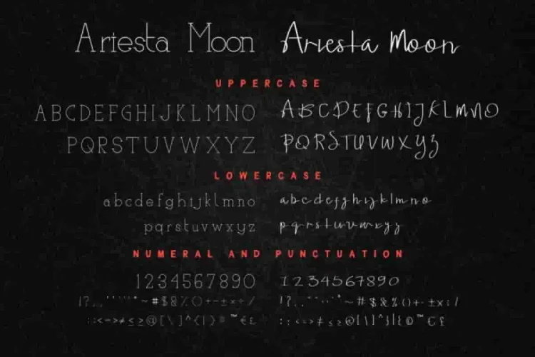 Ariesta Moon Family Font Duo
