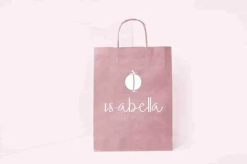 Ariesta Moon Family Font Duo