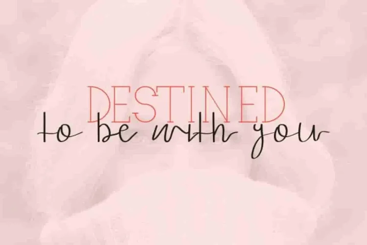 Ariesta Moon Family Font Duo