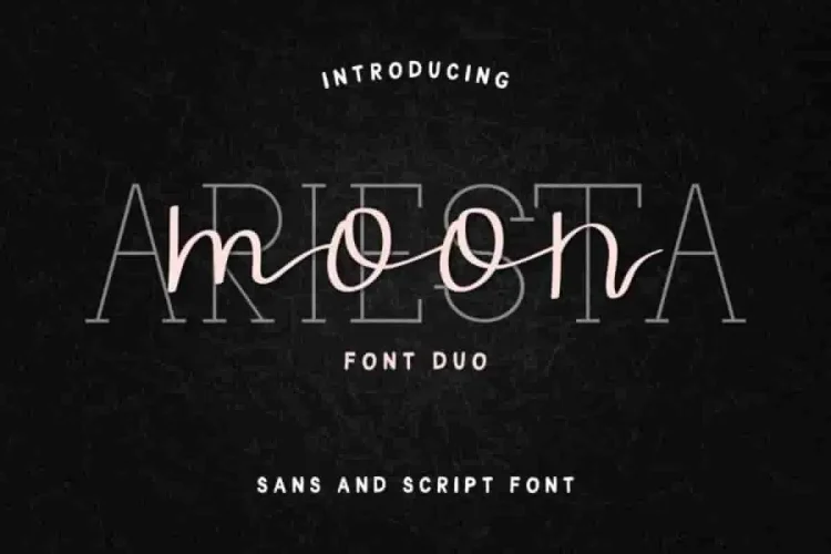 Ariesta Moon Family Font Duo