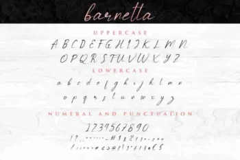 Barnetta Calligraphy Font