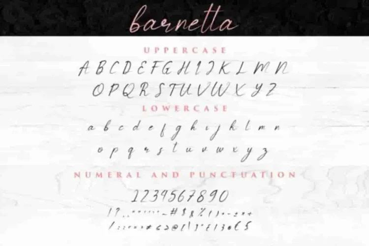 Barnetta Calligraphy Font