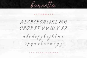 Barnetta Calligraphy Font