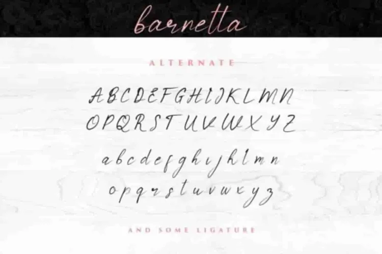 Barnetta Calligraphy Font