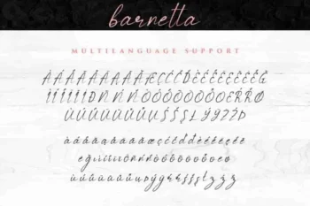 Barnetta Calligraphy Font