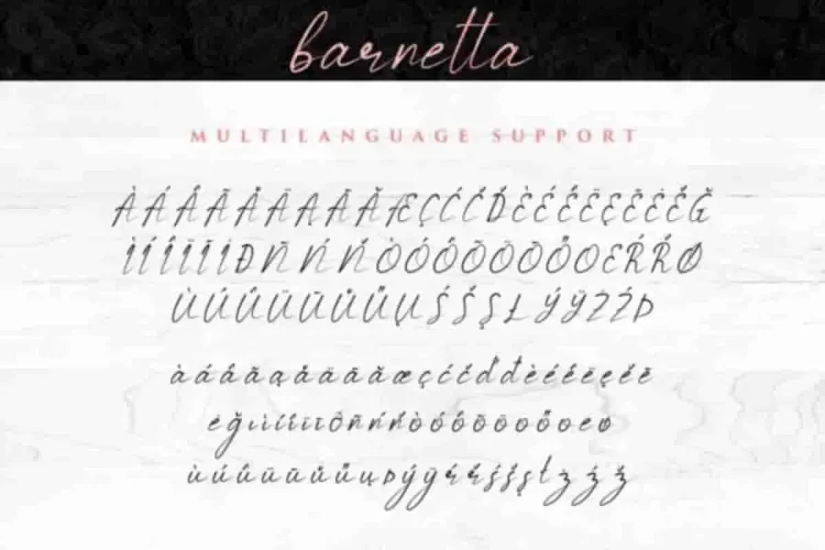 Barnetta Calligraphy Font