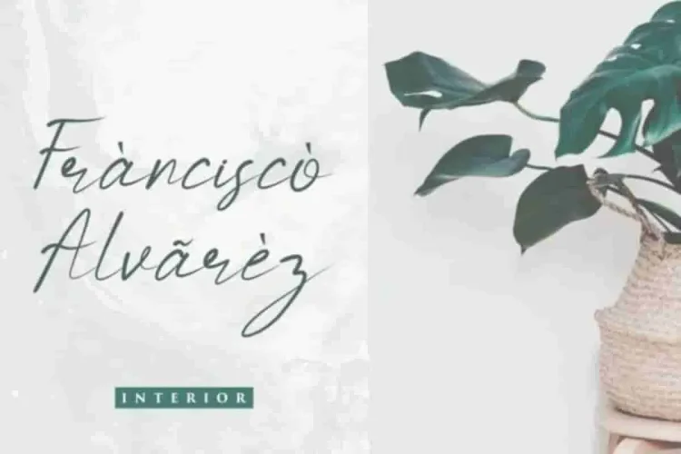 Barnetta Calligraphy Font