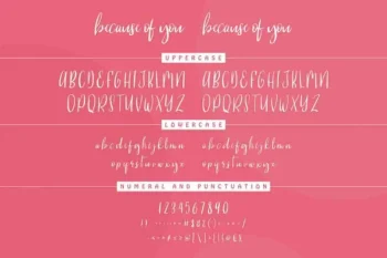 Because Of You Handwritting Font
