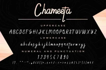 Chameeta Handwritting Font