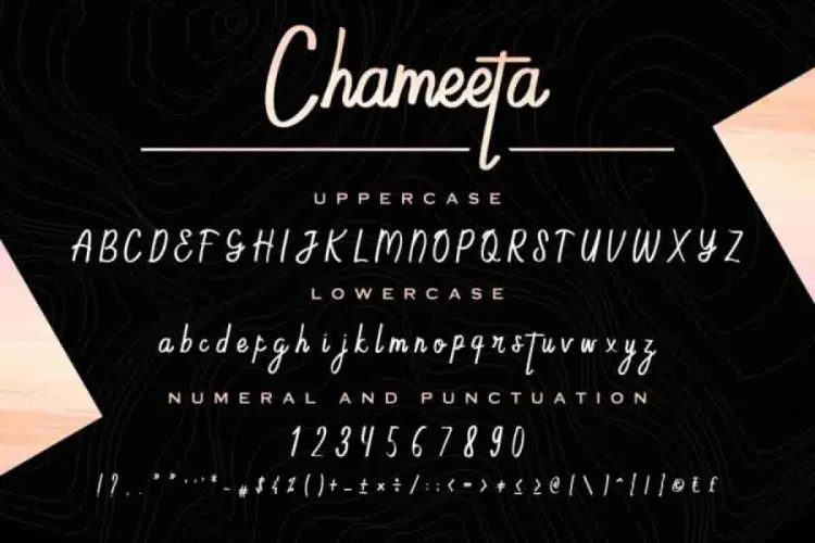 Chameeta Handwritting Font