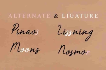 Charlyn Rushmoor Handwriting Font