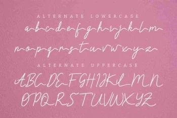 Claressa Signature Handwriting Font