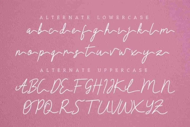 Claressa Signature Handwriting Font