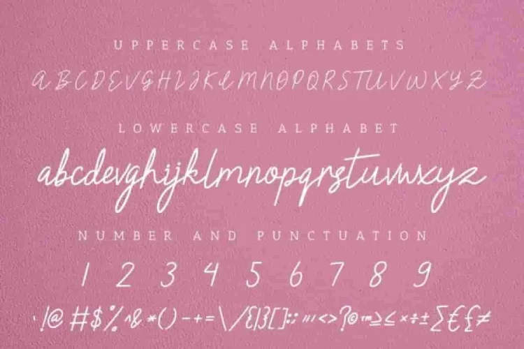 Claressa Signature Handwriting Font