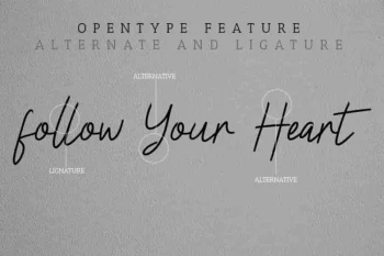 Claressa Signature Handwriting Font