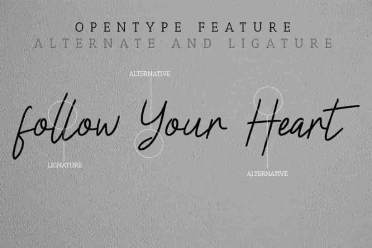 Claressa Signature Handwriting Font