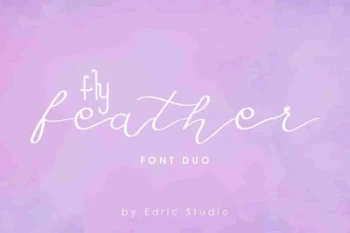 Fly Feather Font Family Duo