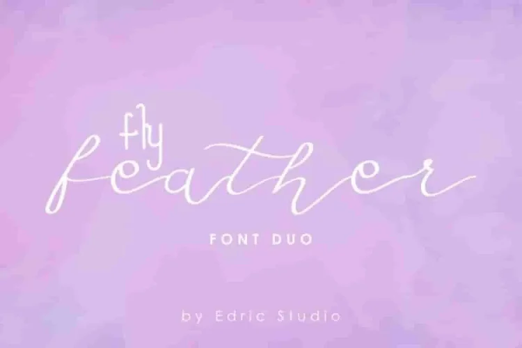 Fly Feather Font Family Duo