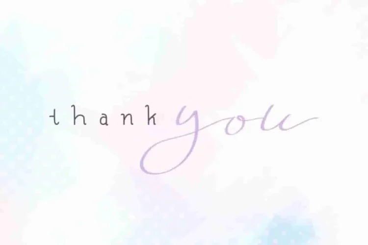 Fly Feather Font Family Duo