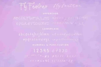 Fly Feather Font Family Duo